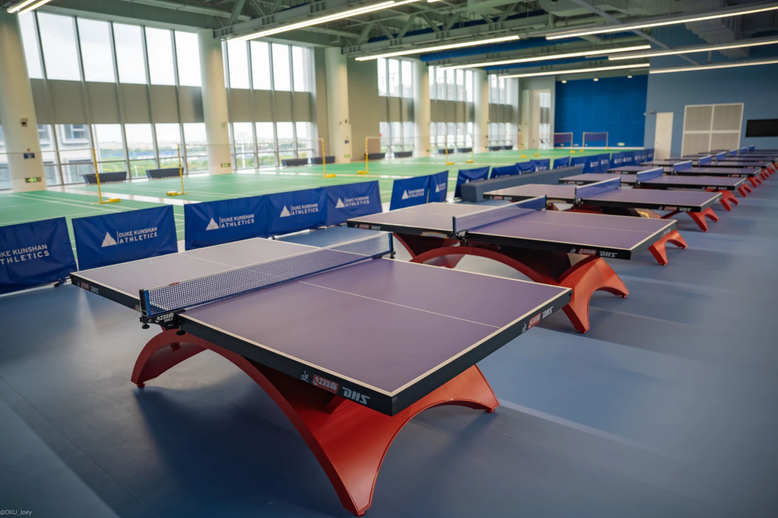 10 table tennis tables