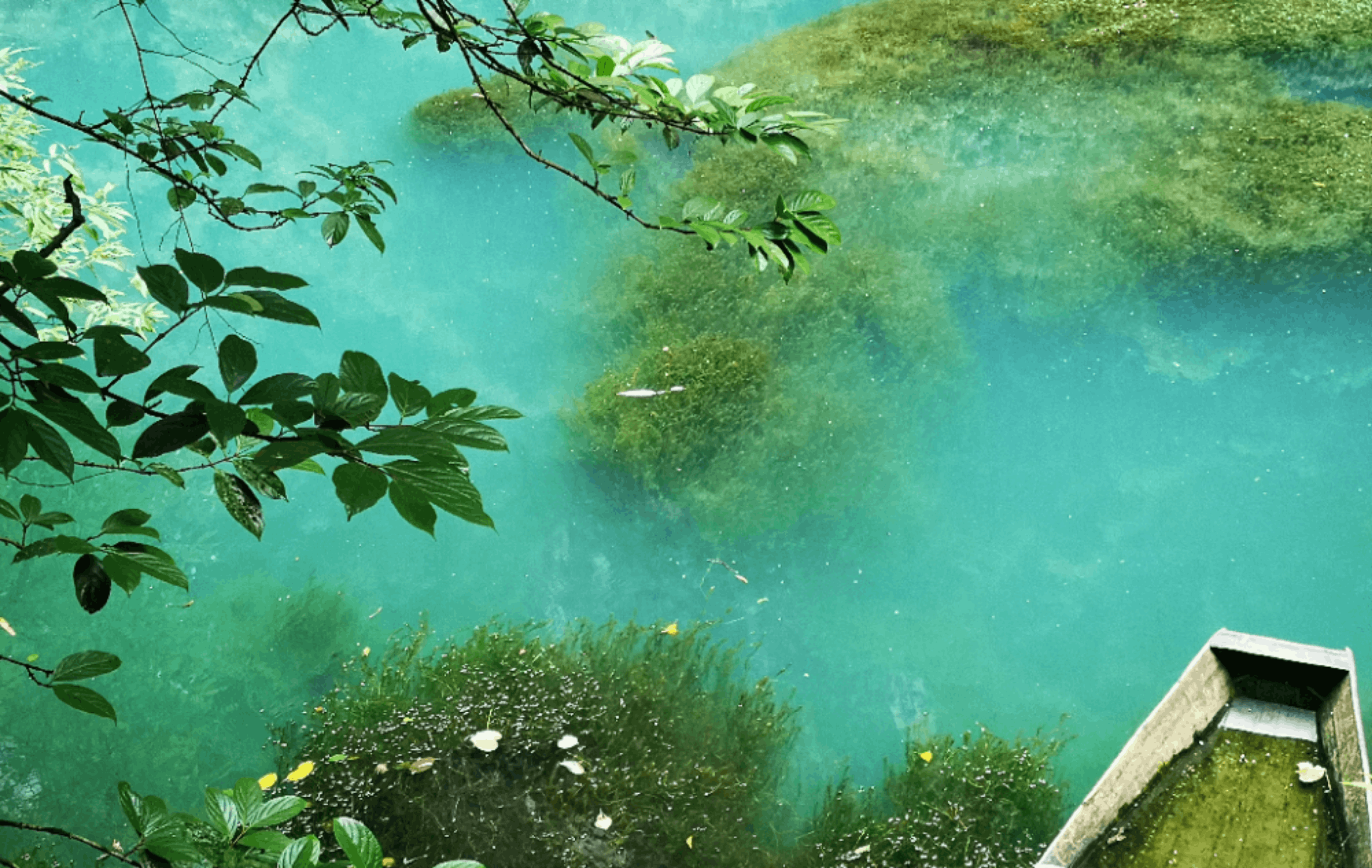 Considering Your CAPS Clinical Options Campus Life Duke Kunshan