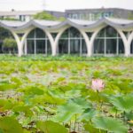 DKU welcomes new faculty this fall