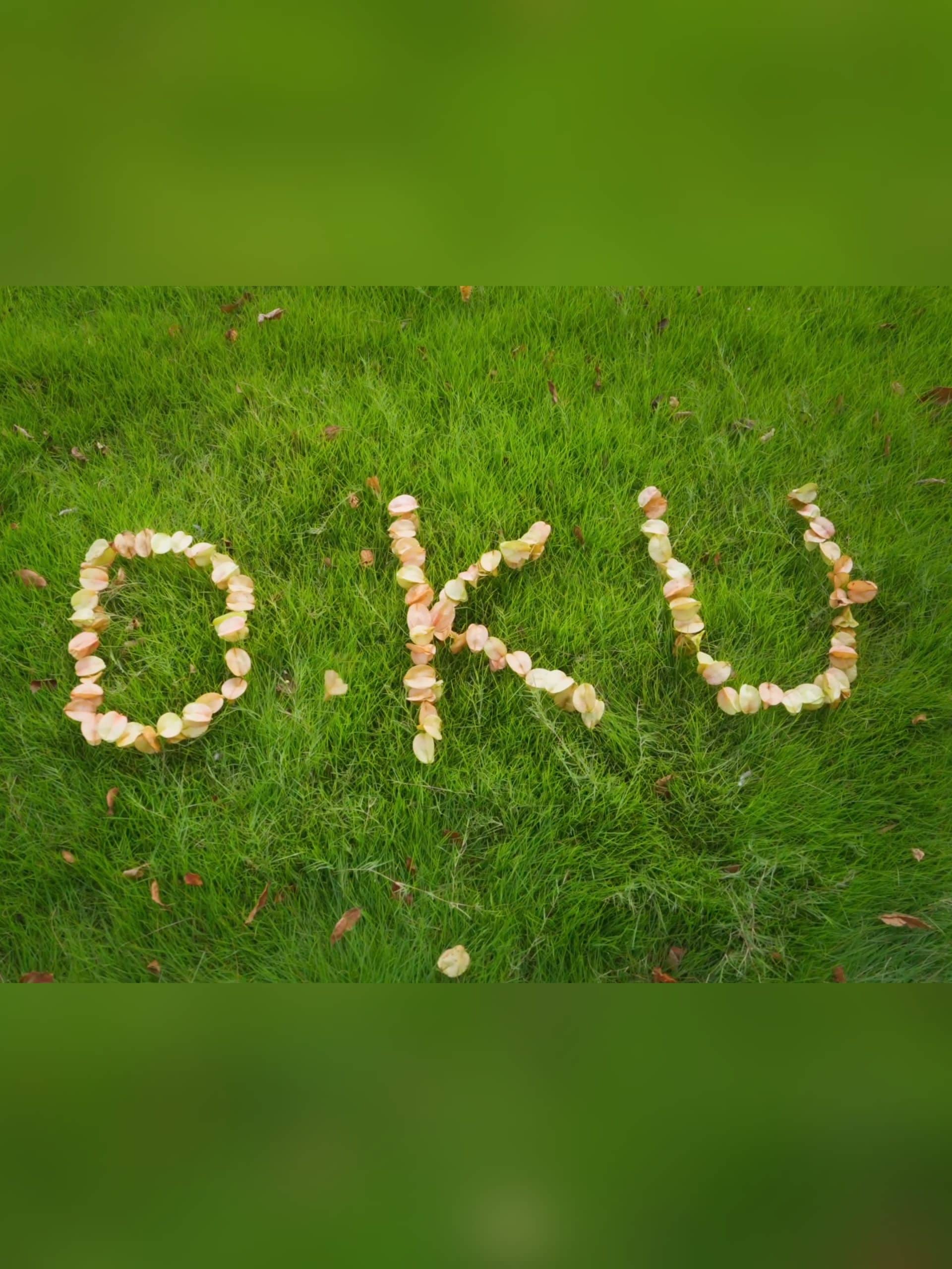 falling at DKU scaled