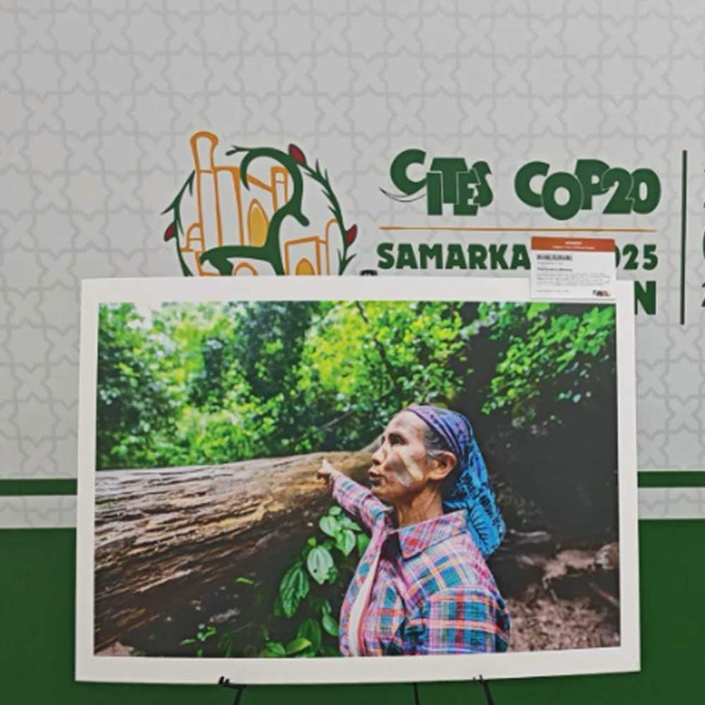 昆杜本科生荣获全球摄影冠军