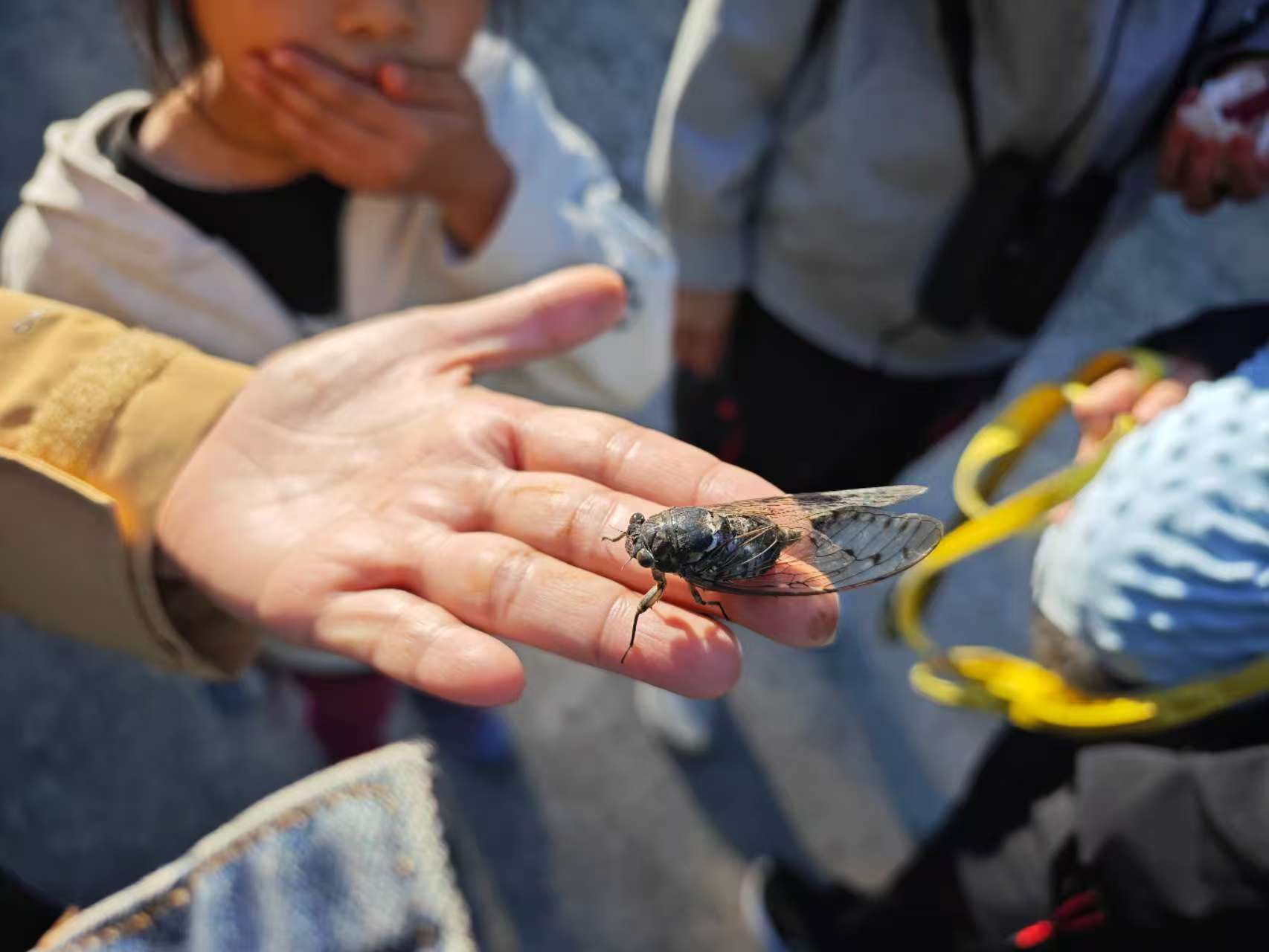 Walking the blue planet 2 Charles