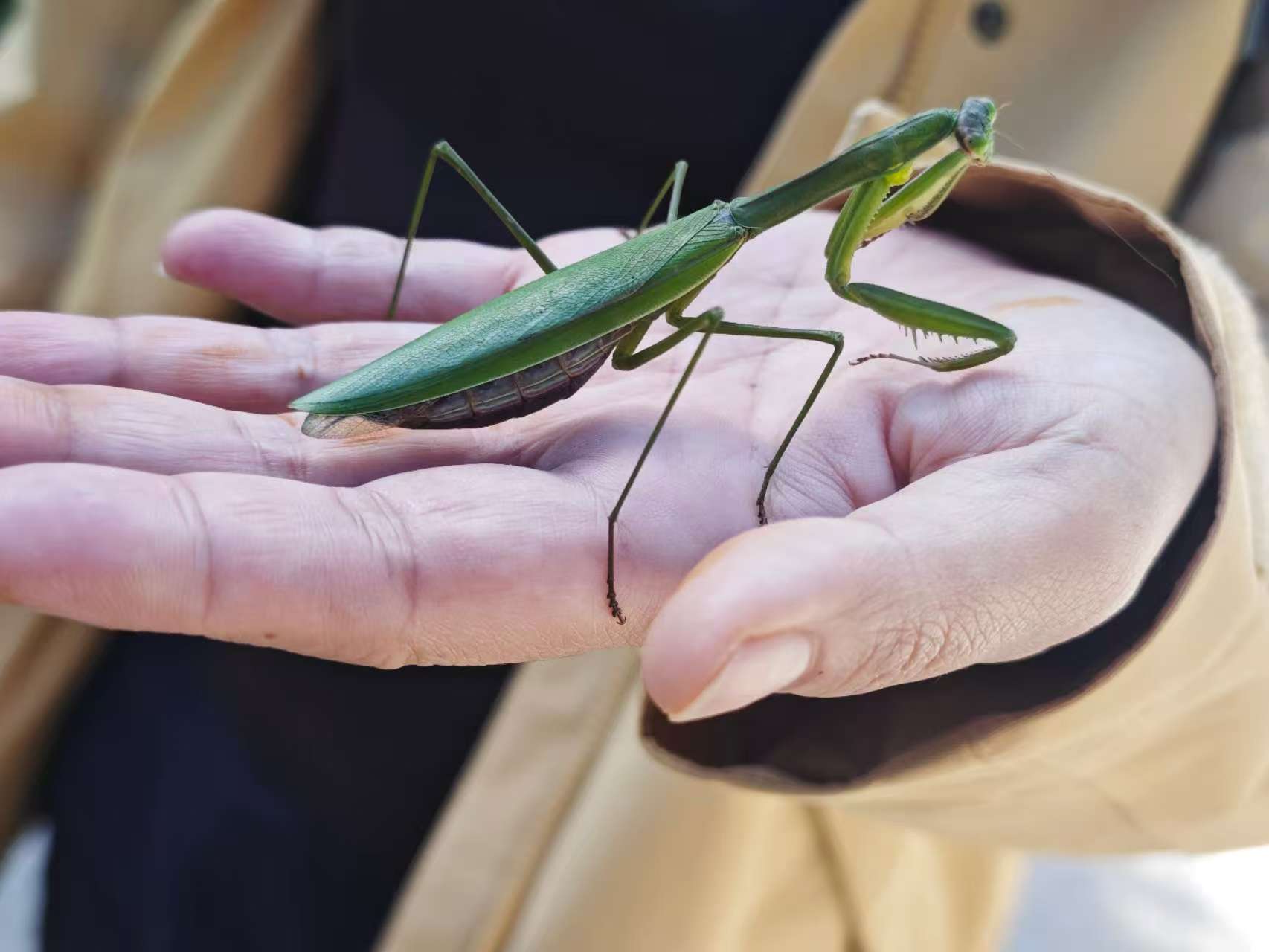 Walking the blue planet 3 Charles 1