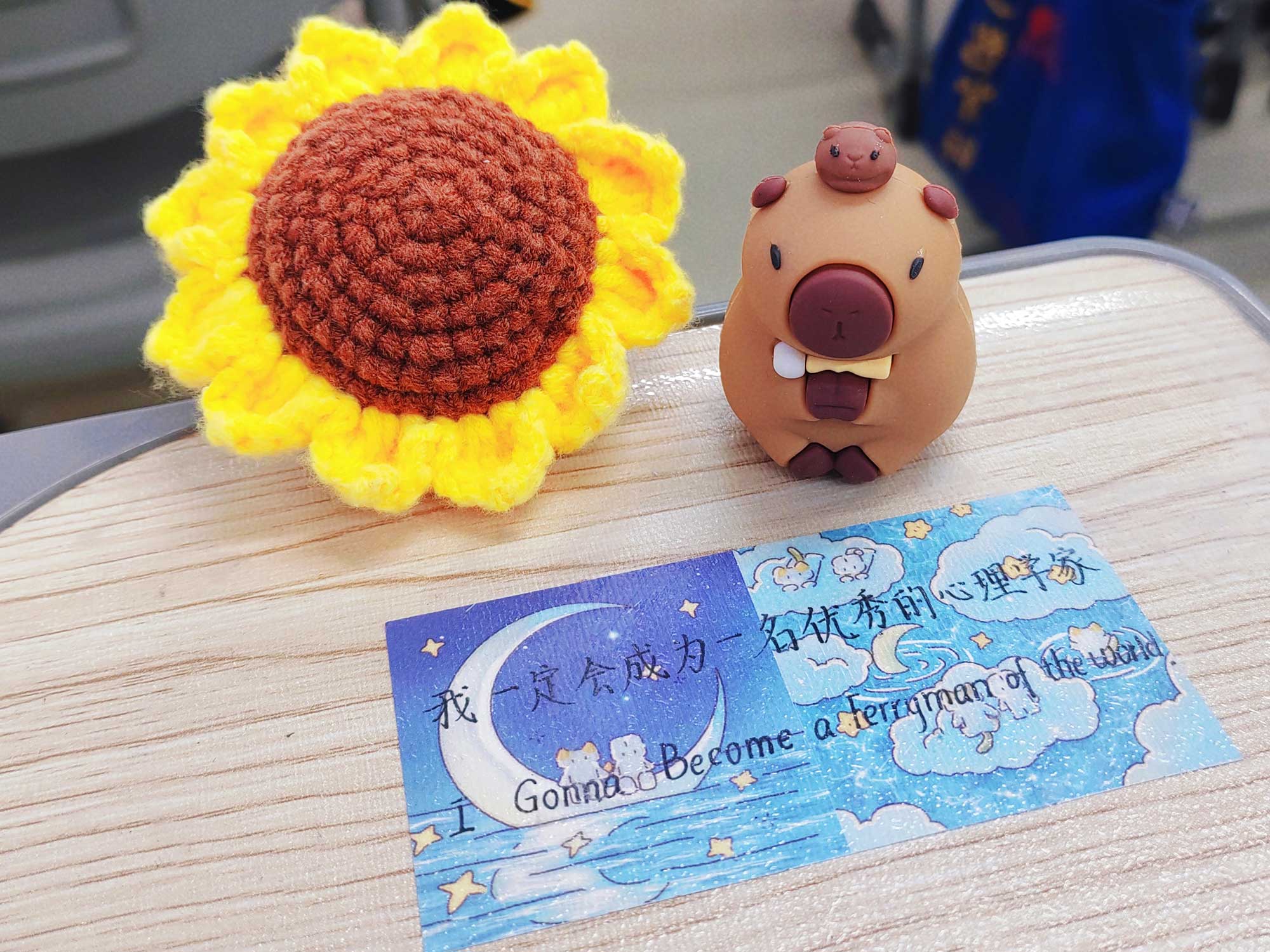 Choosing Minds over Machines 8