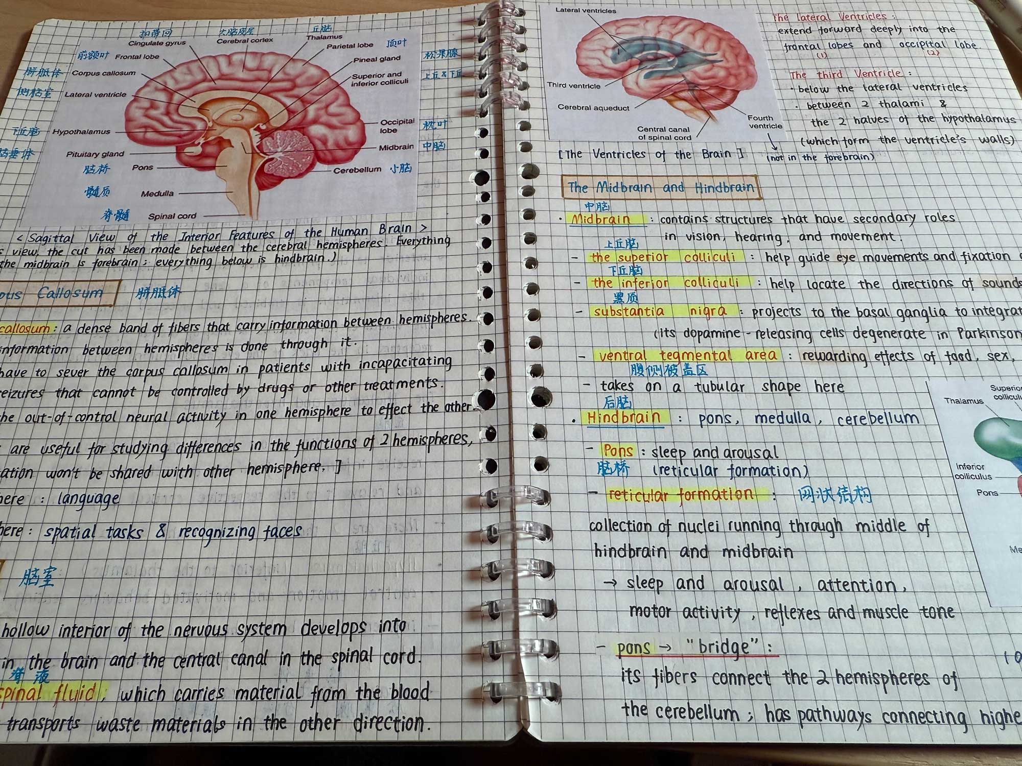 Choosing Minds over Machines 10