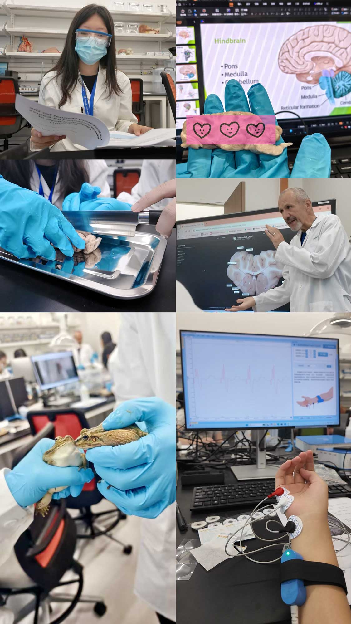 Choosing Minds over Machines 13