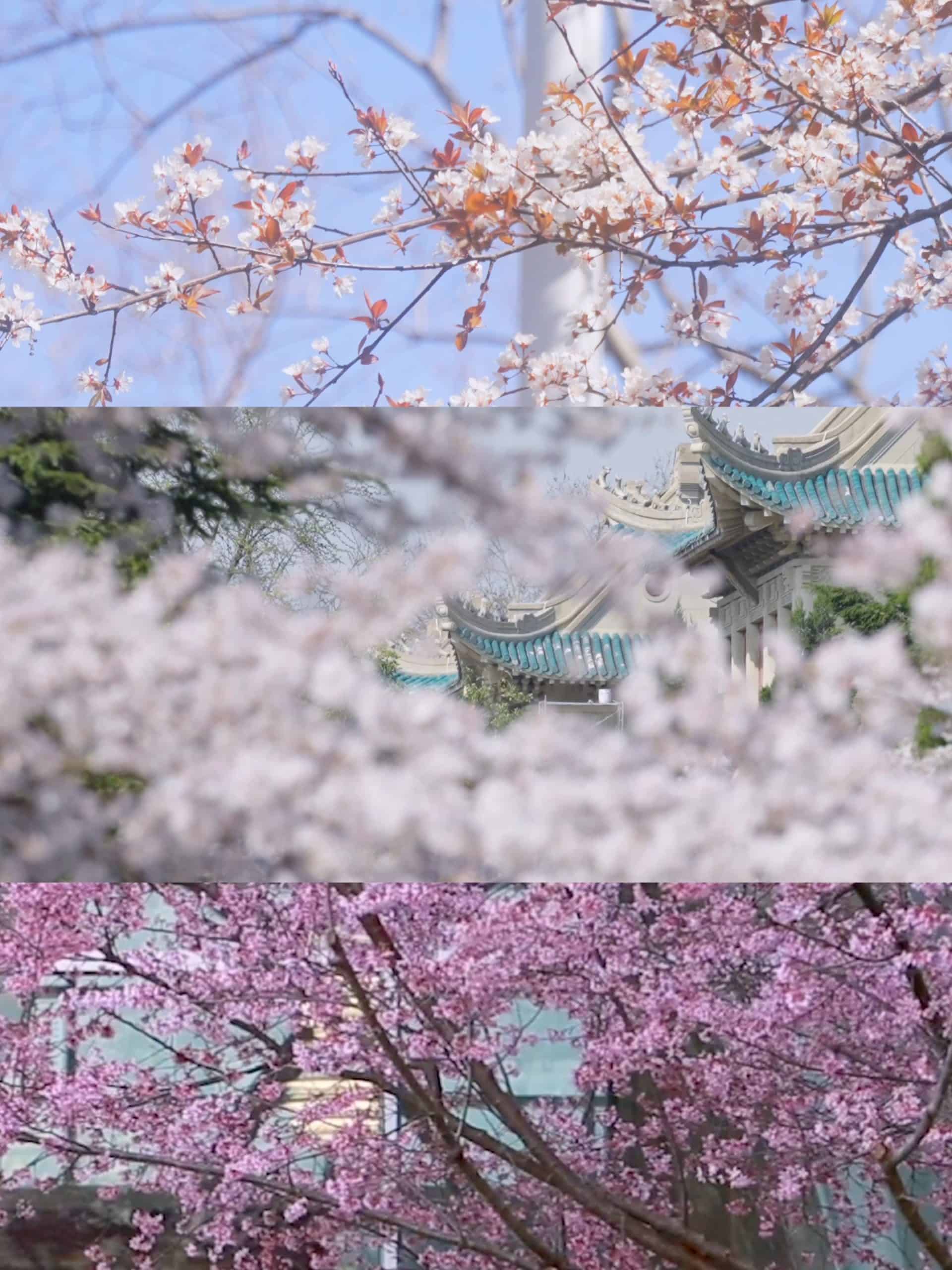 12%E6%9C%8811%E6%97%A5 scaled