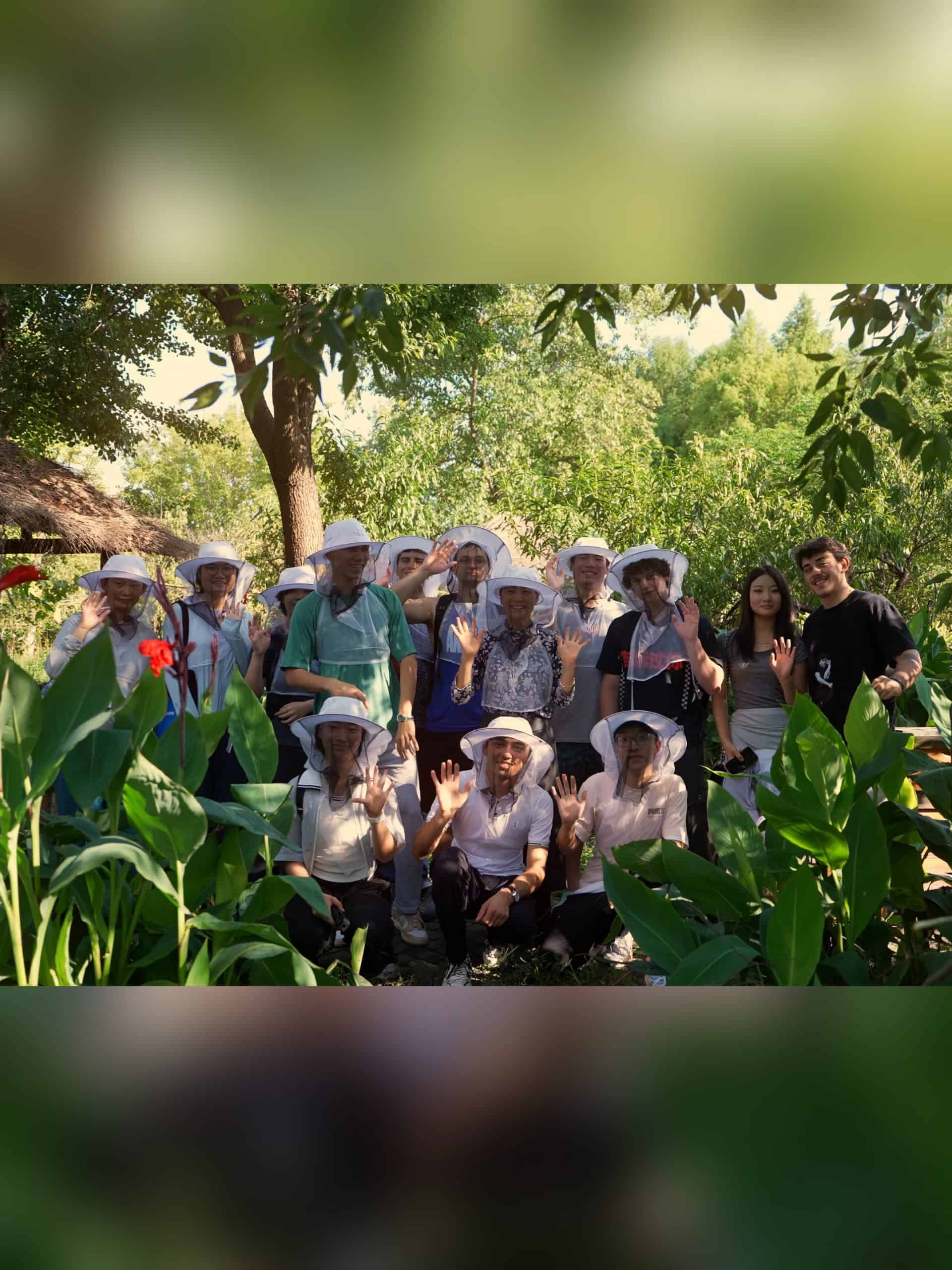 From Classroom to Beehives scaled