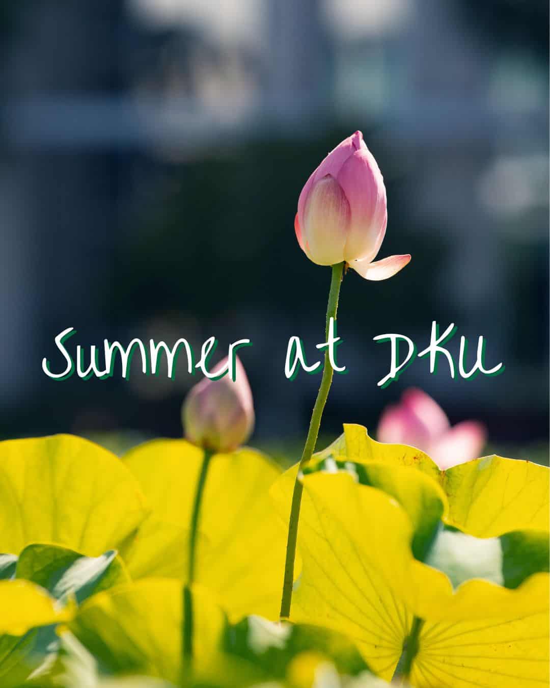 Summer at DKU