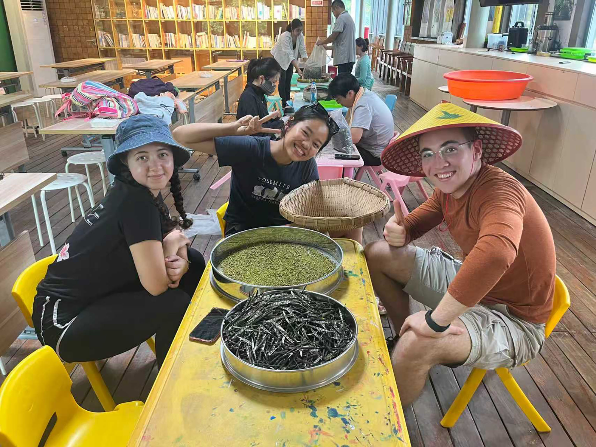 Millennium fellows research in 2025 14