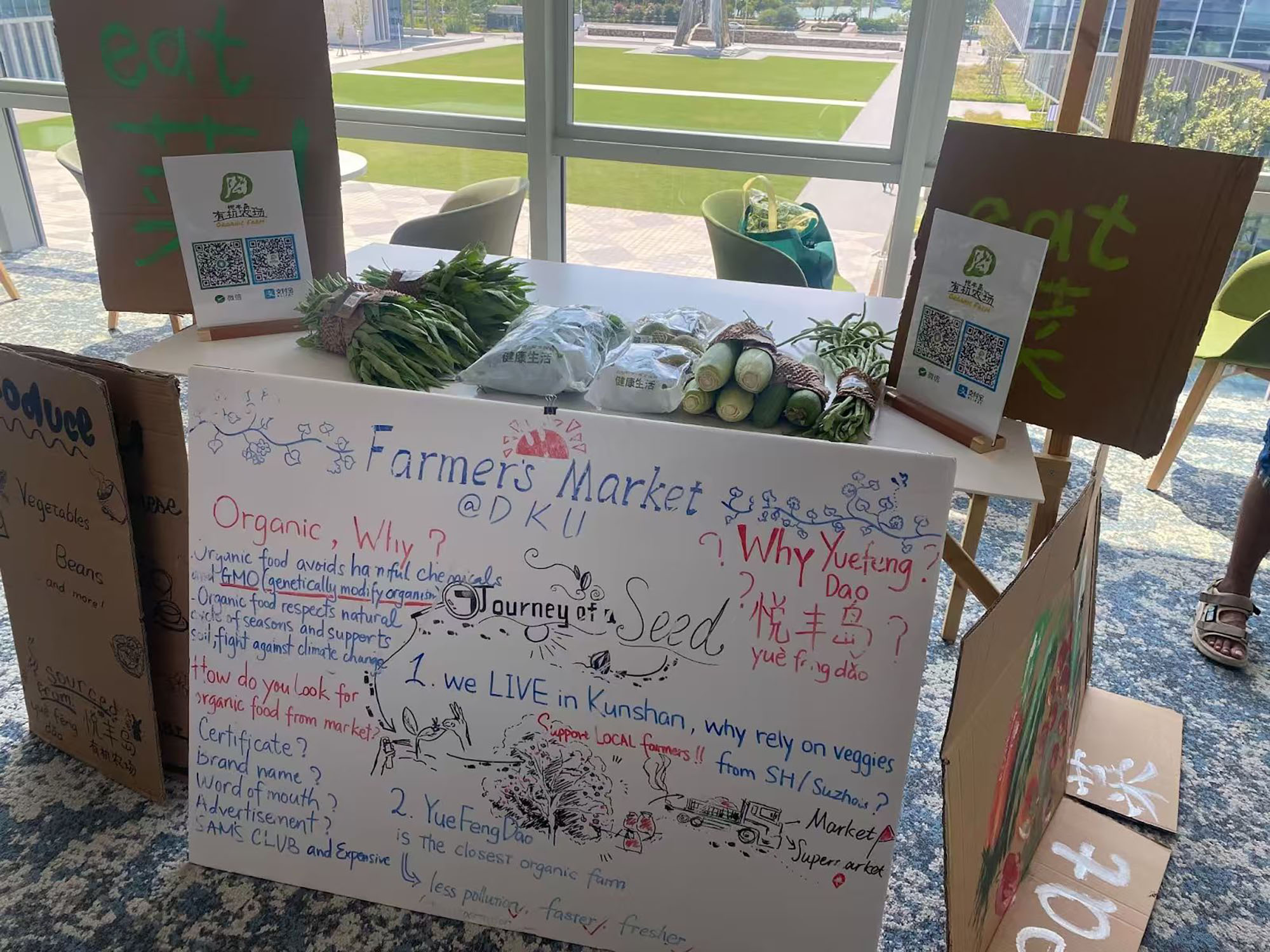 Millennium fellows research in 2025 6