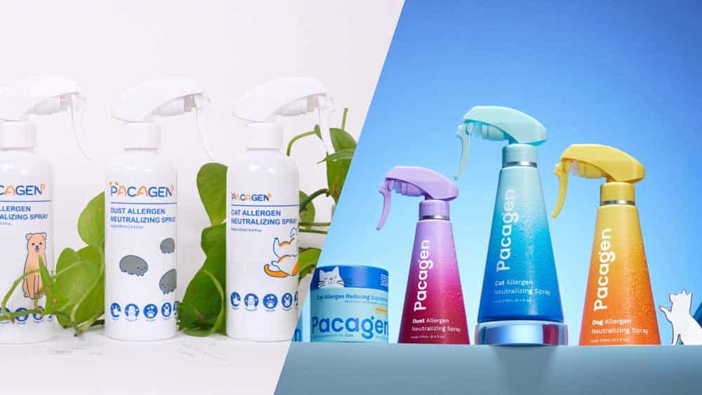 From McKinsey to a startup a career shaped by uncertainty 2 5