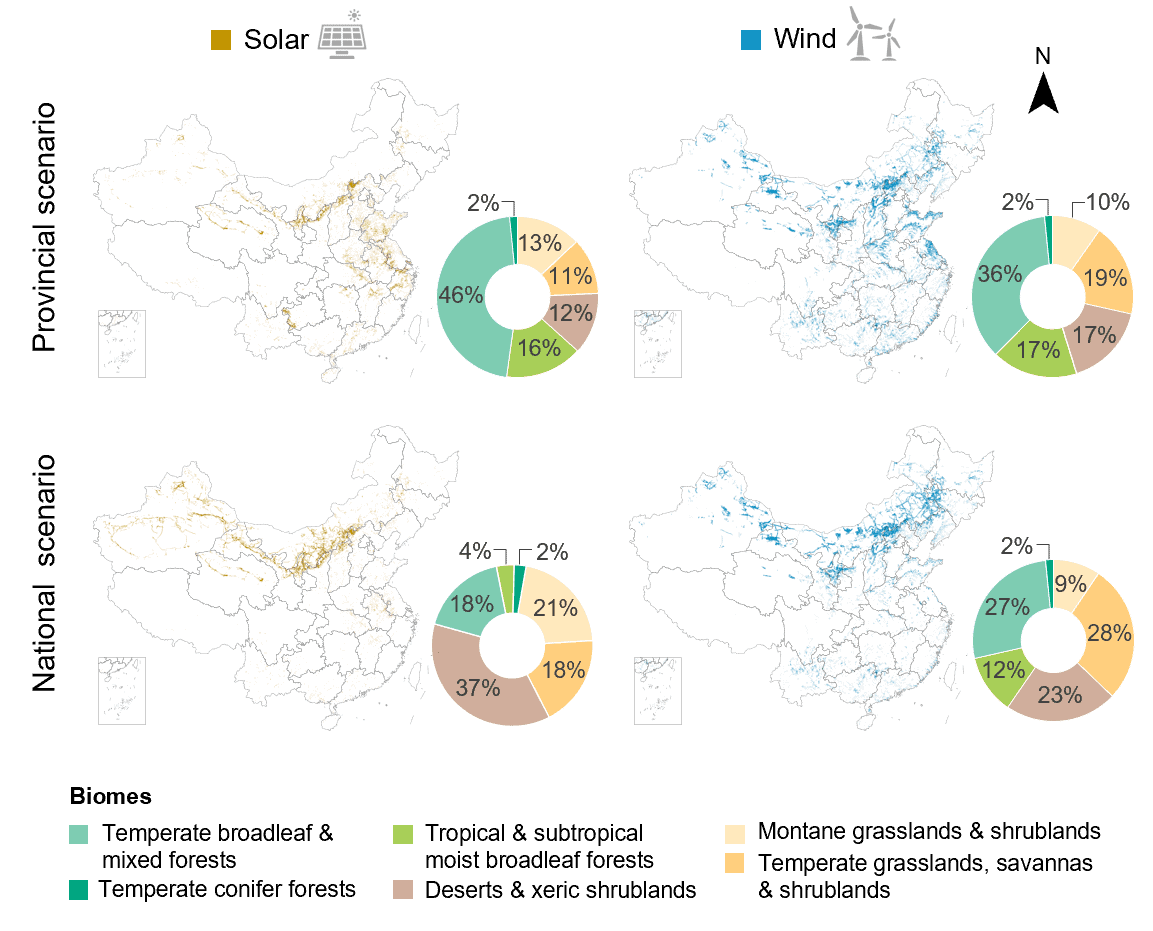 How planning scales shape biodiversity outcomes of renewable energy expansion 2