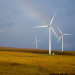 How planning scales shape biodiversity outcomes of renewable energy expansion