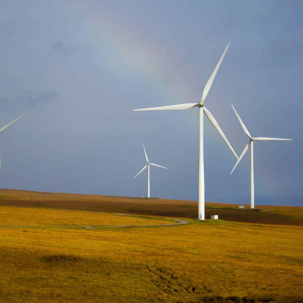 How planning scales shape biodiversity outcomes of renewable energy expansion - News 