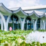 聘任和晋升终身教授名单公布