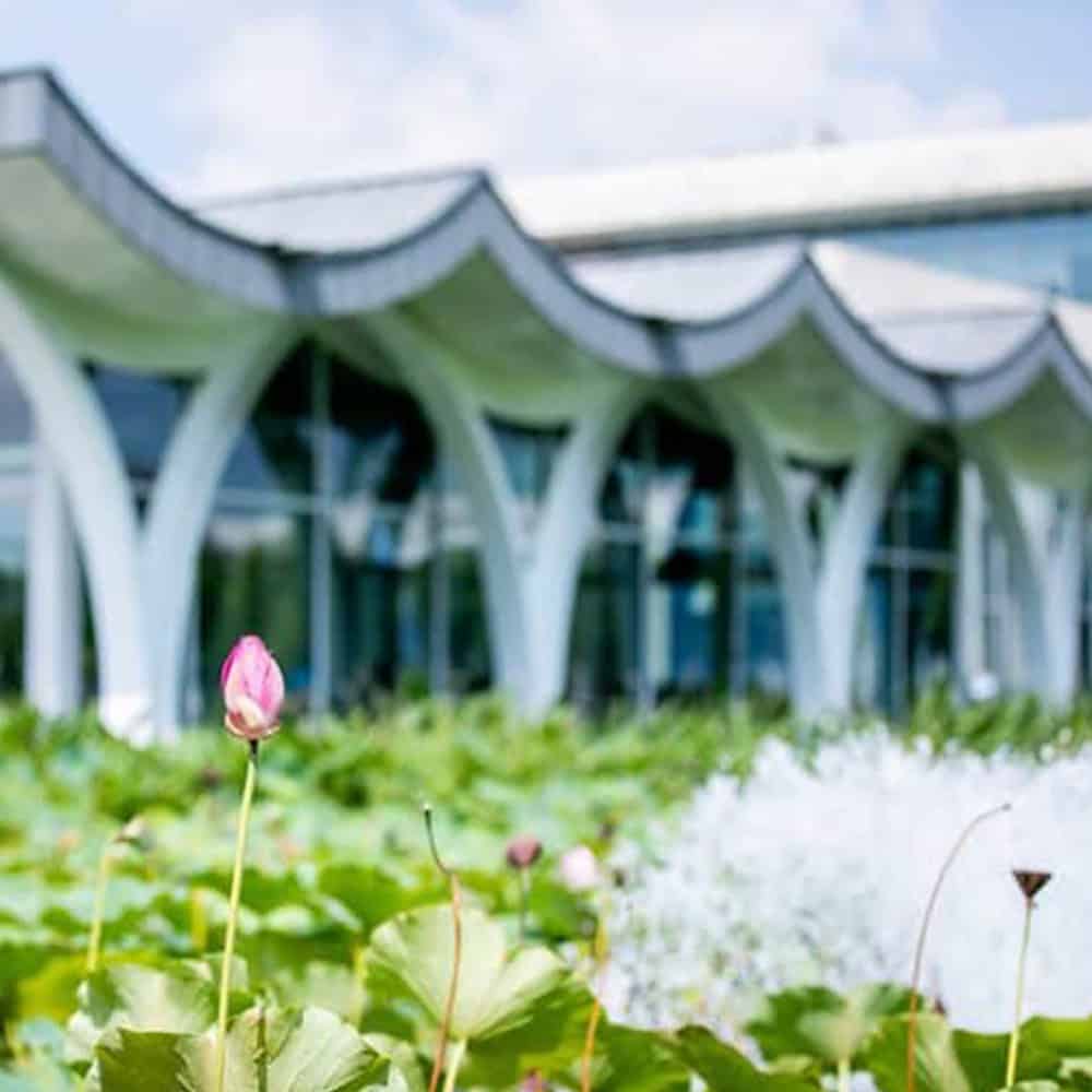 聘任和晋升终身教授名单公布