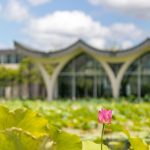 DKU awards summer research grants to 14 faculty led projects 1