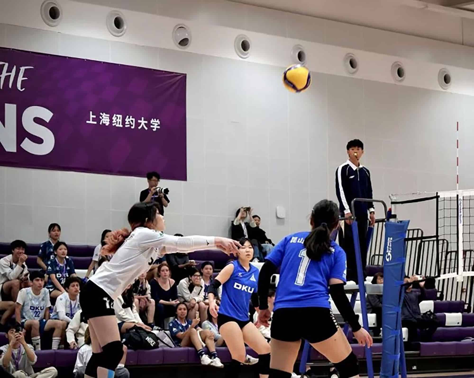 球未落地之前 14 Before the Ball Hits the Floor 18