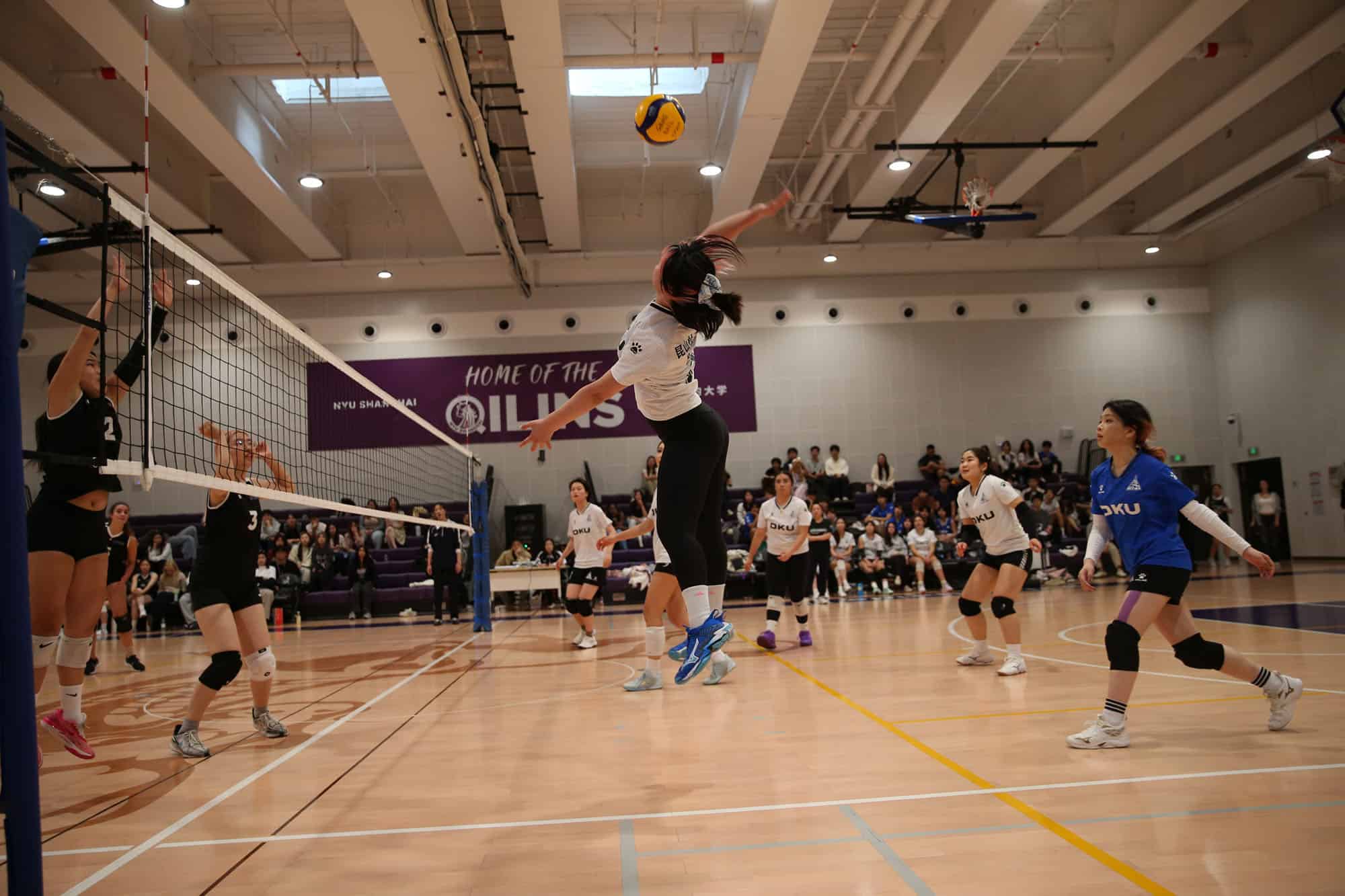 球未落地之前 15 Before the Ball Hits the Floor 17