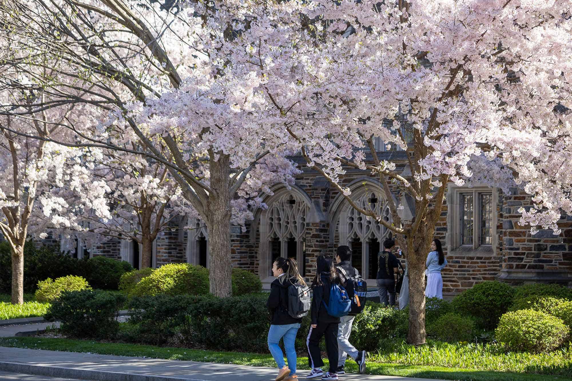 领英2026年顶尖美国大学榜发布,杜克大学蝉联第二 6 Duke Ranks second in LinkedIns 2026 US University Ranking 6