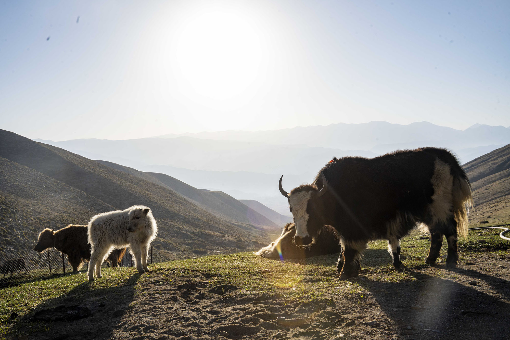 在喜马拉雅,读懂星球健康 6 Into the Himalayas Rethinking Planetary Health 69 3