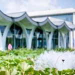Following the evidence Where a summer of research led at DKU