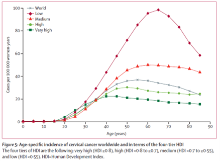 Global Disease Burden of Cervical Cancer | Innovation Lab for Vaccine ...