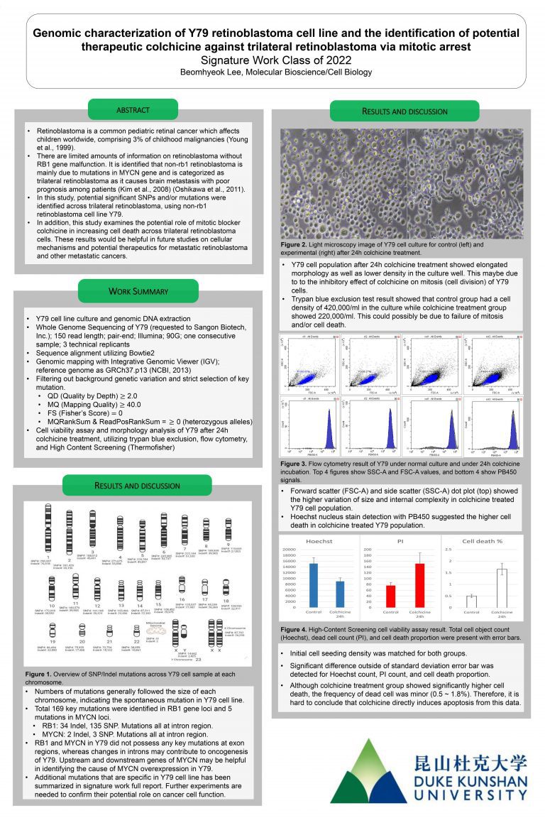 Genomic characterization of Y79 retinoblastoma cell line and the identification of potential therapeutic colchicine against trilateral retinoblastoma via mitotic arrest