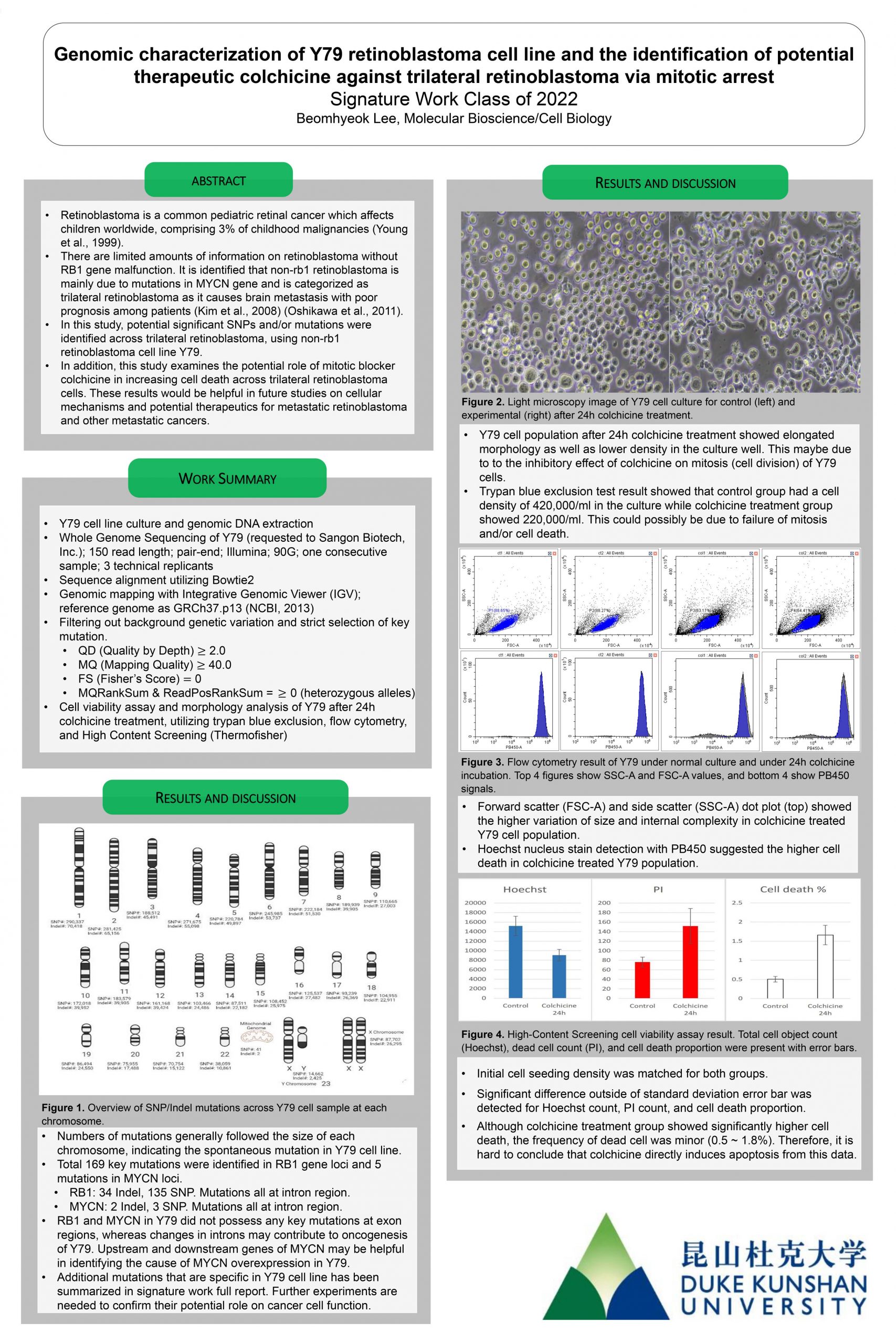Genomic characterization of Y79 retinoblastoma cell line and the identification of potential therapeutic colchicine against trilateral retinoblastoma via mitotic arrest