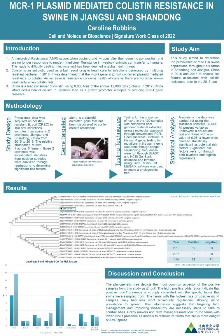 MCR-1 Plasmid Mediated Colistin resistance in Swine in Jiangsu and Shandong