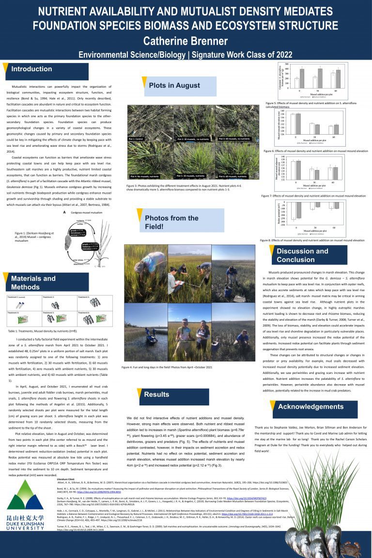 Relative Effects of Nutrient Availability and Mutualist Density on Plant Growth, Animal Community Structure, And Sediment Accretion in A Southern US Salt Marsh