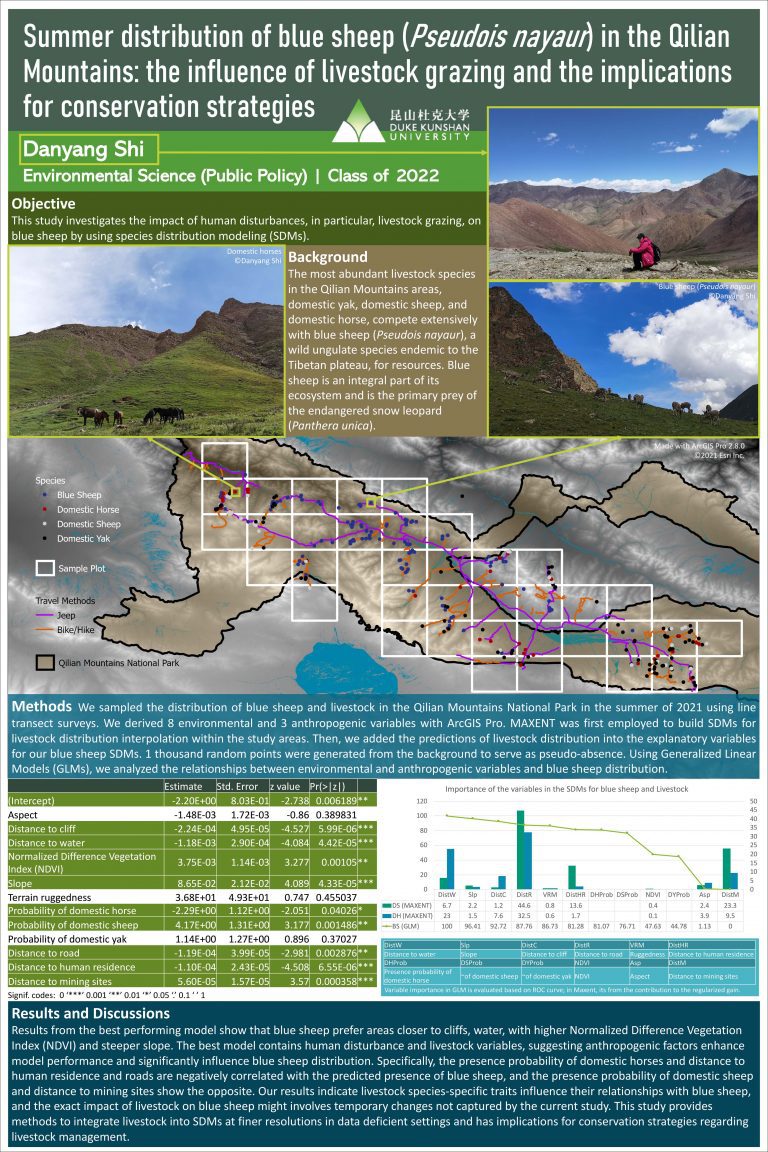 Summer Distribution of Blue Sheep (Pseudois Nayaur) in the Qilian Mountains: the Influence of Livestock Grazing and the Implications for Conservation Strategies