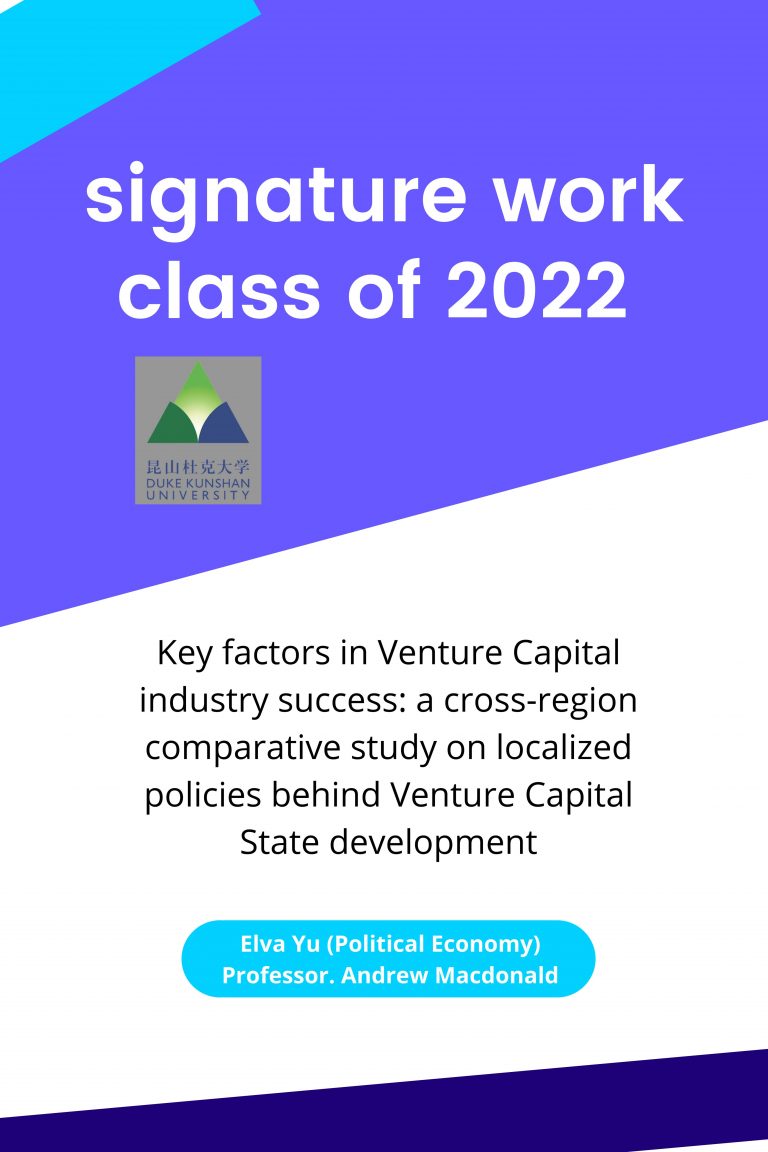 Key factors in Venture Capital industry success - a cross region comparative study on localized policies behind Venture Capital State development