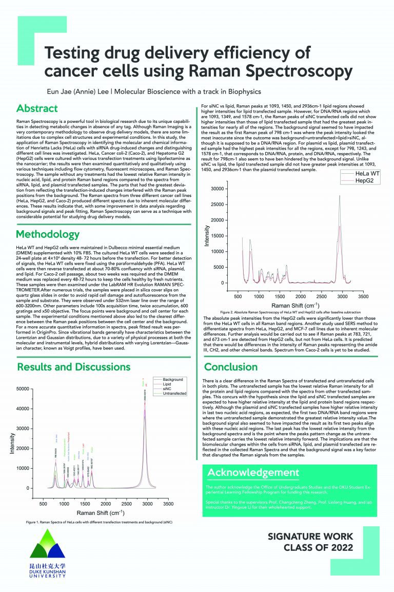 Testing Drug Delivery Efficiency of Cancer Cells Using Raman Spectroscopy