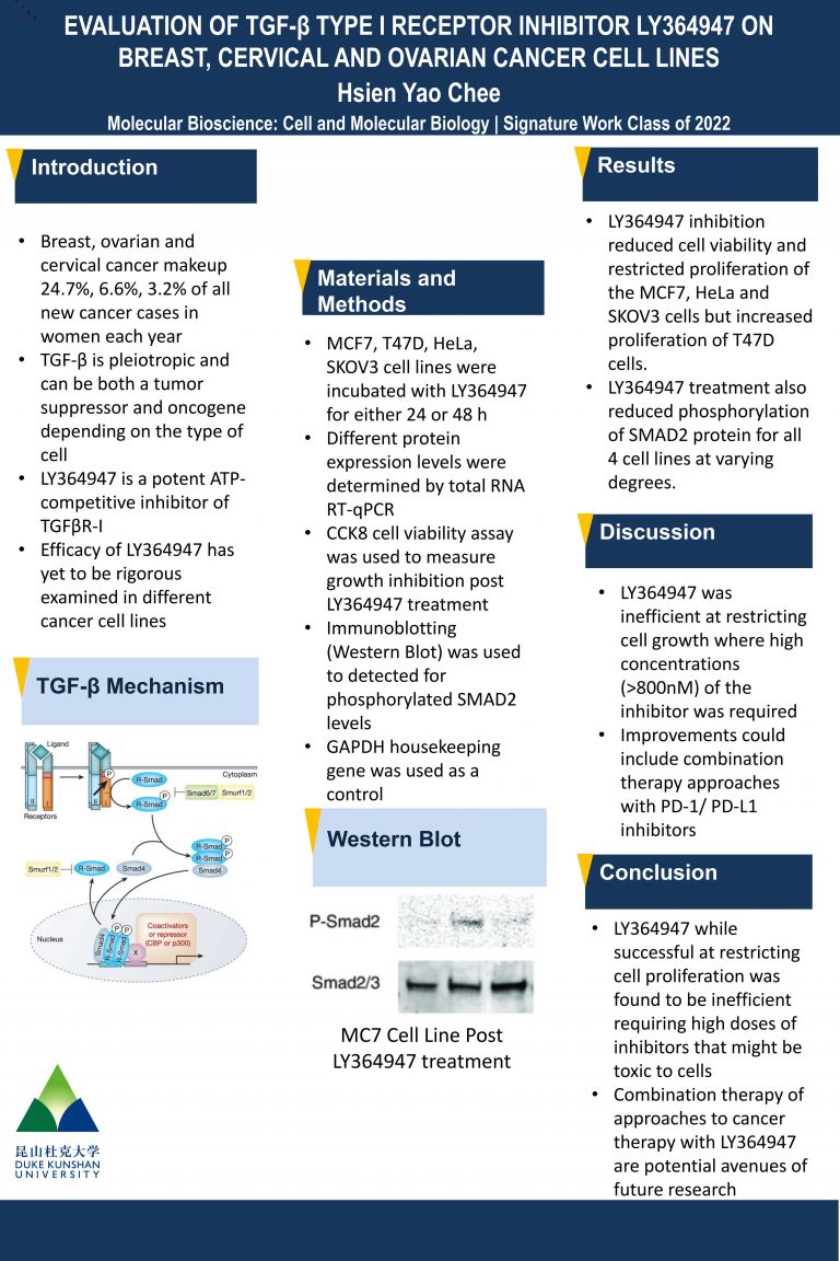 Evaluation Of Tgf-Β Type I Receptor Inhibitor Ly364947 on Breast, Cervical and Ovarian Cancer Cell Lines