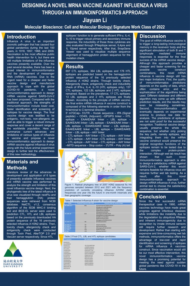 Designing a Novel Mrna Vaccine Against Influenza A Virus Through an Immunoinformatics Approach