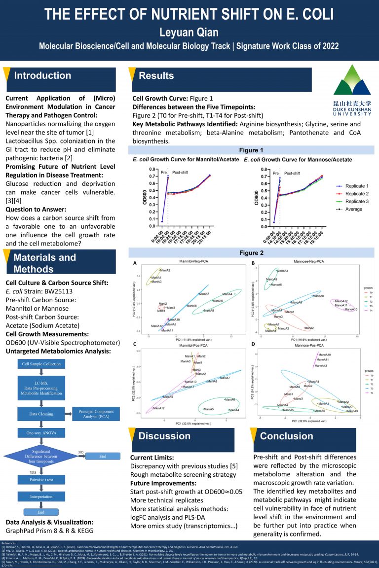 The Effect of Nutrient Shift on E. Coli