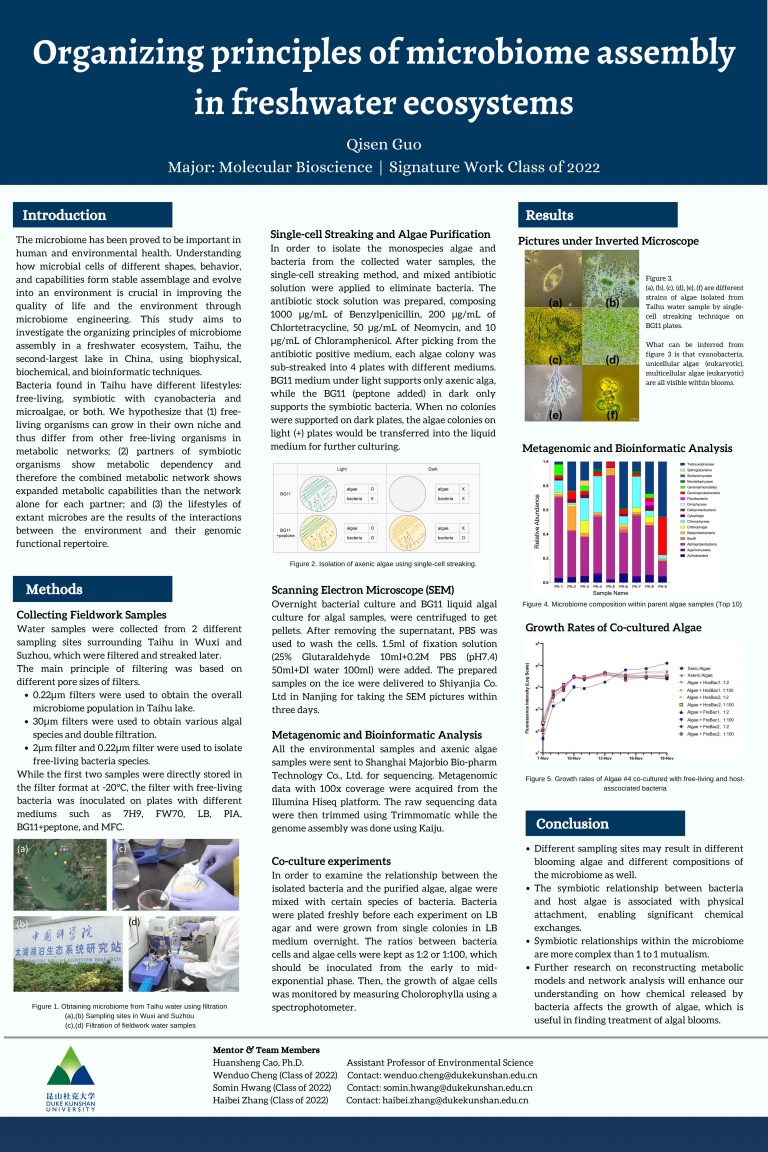 Organizing Principles of Microbiome Assembly in Freshwater Ecosystems