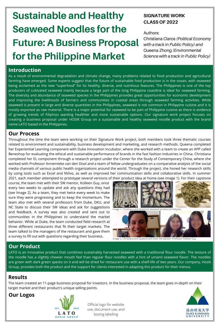 Sustainable and Healthy Seaweed Noodles for the Future: A Business Proposal for the Philippine Market