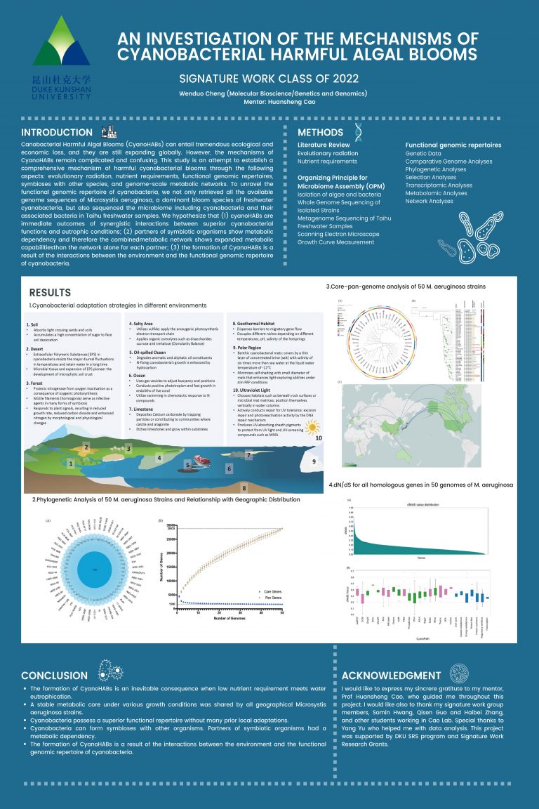 An Investigation of the Mechanisms of Cyanobacterial Harmful Algal Blooms