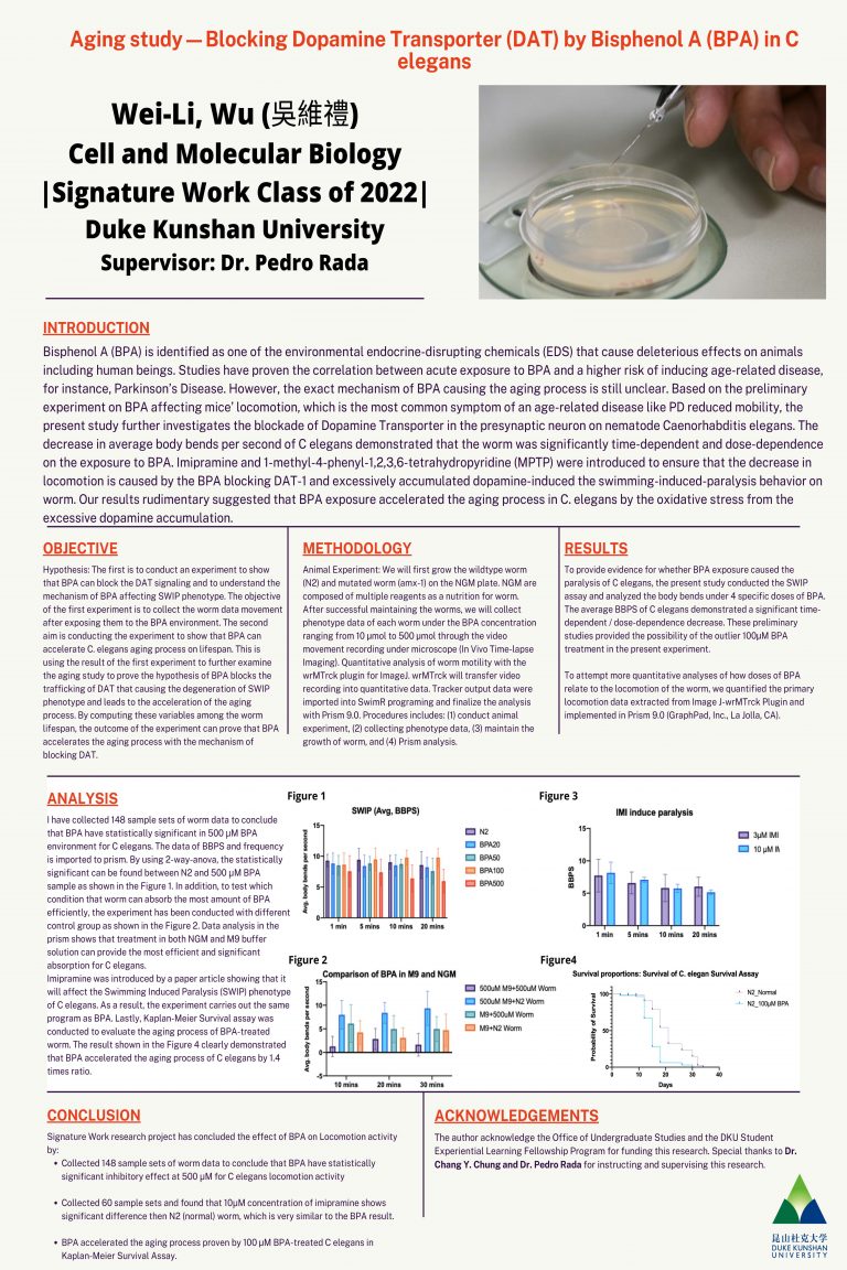 Aging Study-Blocking Dopamine Transporter (DAT) by Bisphenol A (BPA) in C Elegans