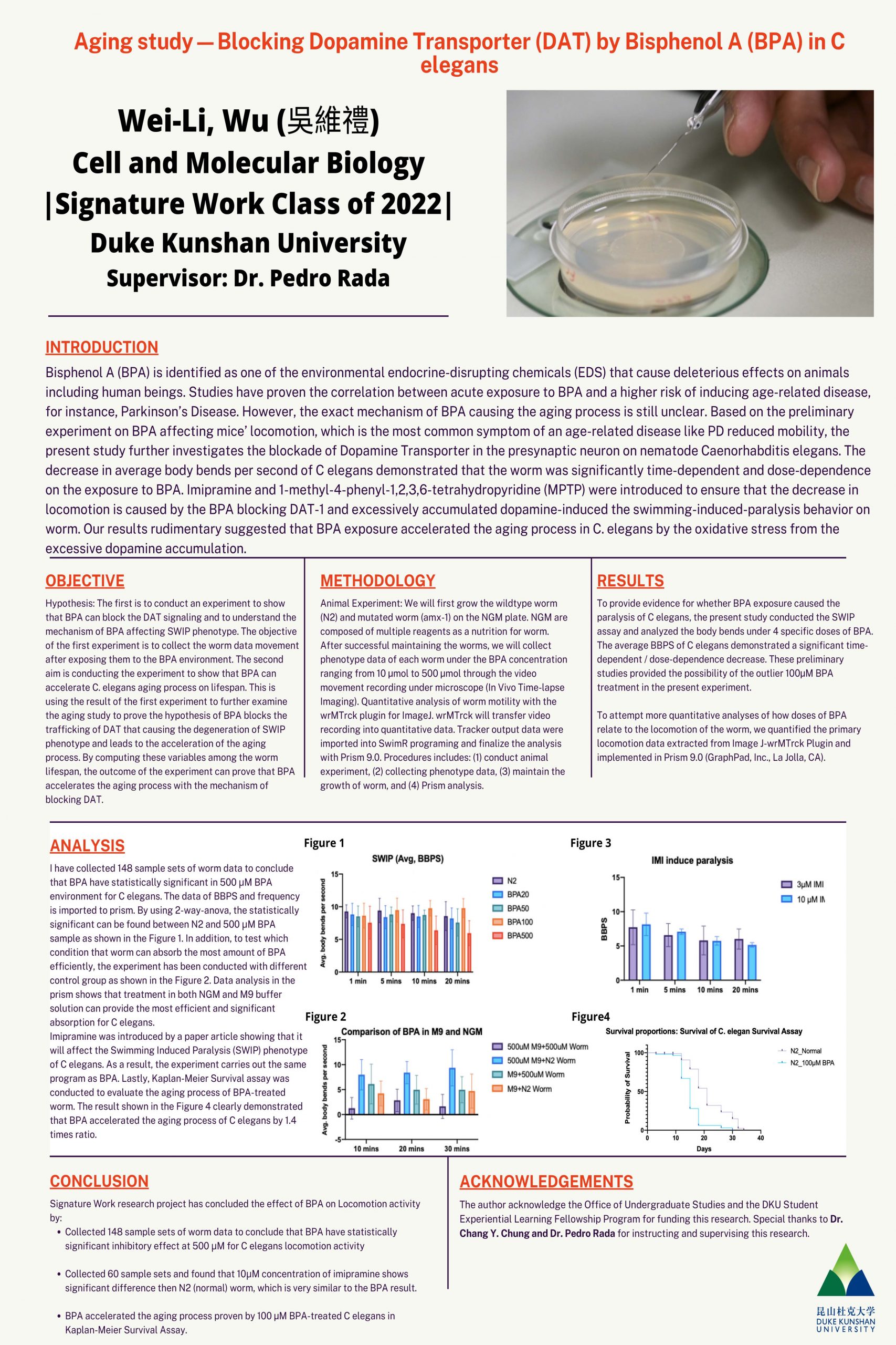 Aging Study-Blocking Dopamine Transporter (DAT) by Bisphenol A (BPA) in C Elegans