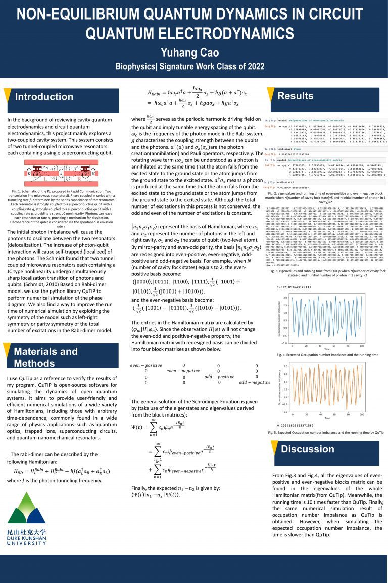 Non-Equilibrium Quantum Dynamics in Circuit Quantum Electrodynamics