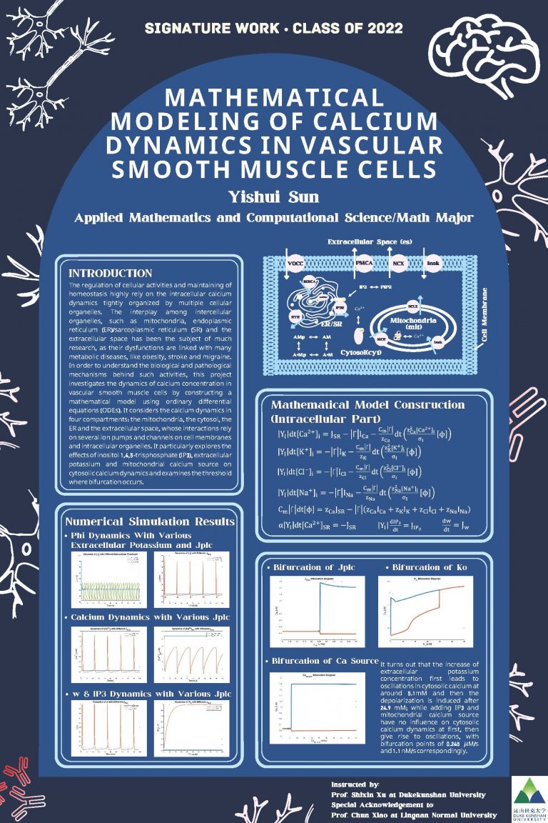 Mathematical Modeling of Calcium Dynamics in Vascular Smooth Muscle Cells