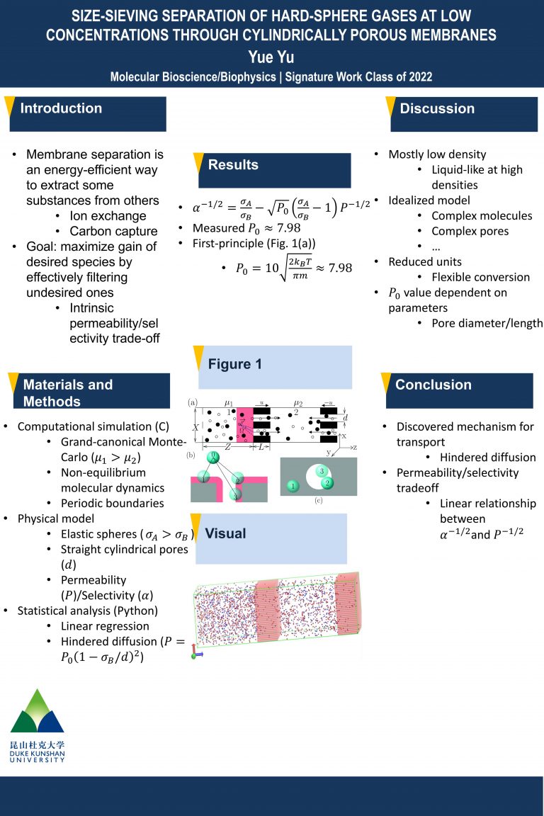 Size-Sieving Separation of Hard-Sphere Gases at Low Concentrations Through Cylindrically Porous Membranes