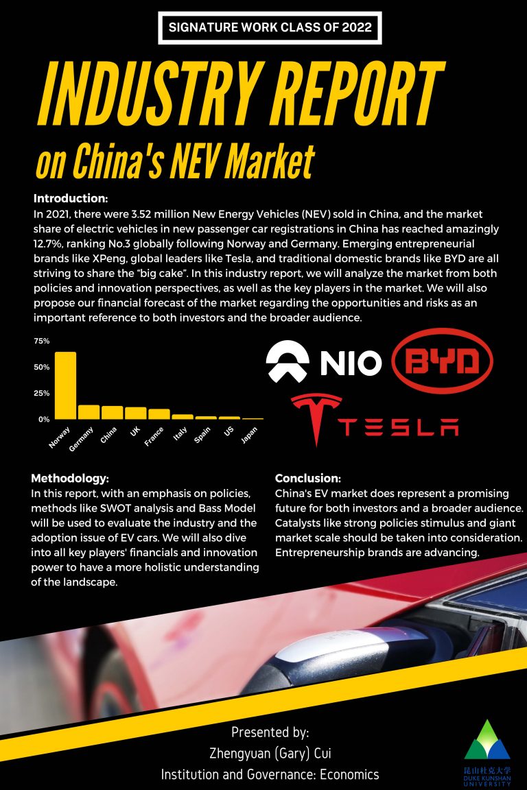 Industry Report on China's NEV Market