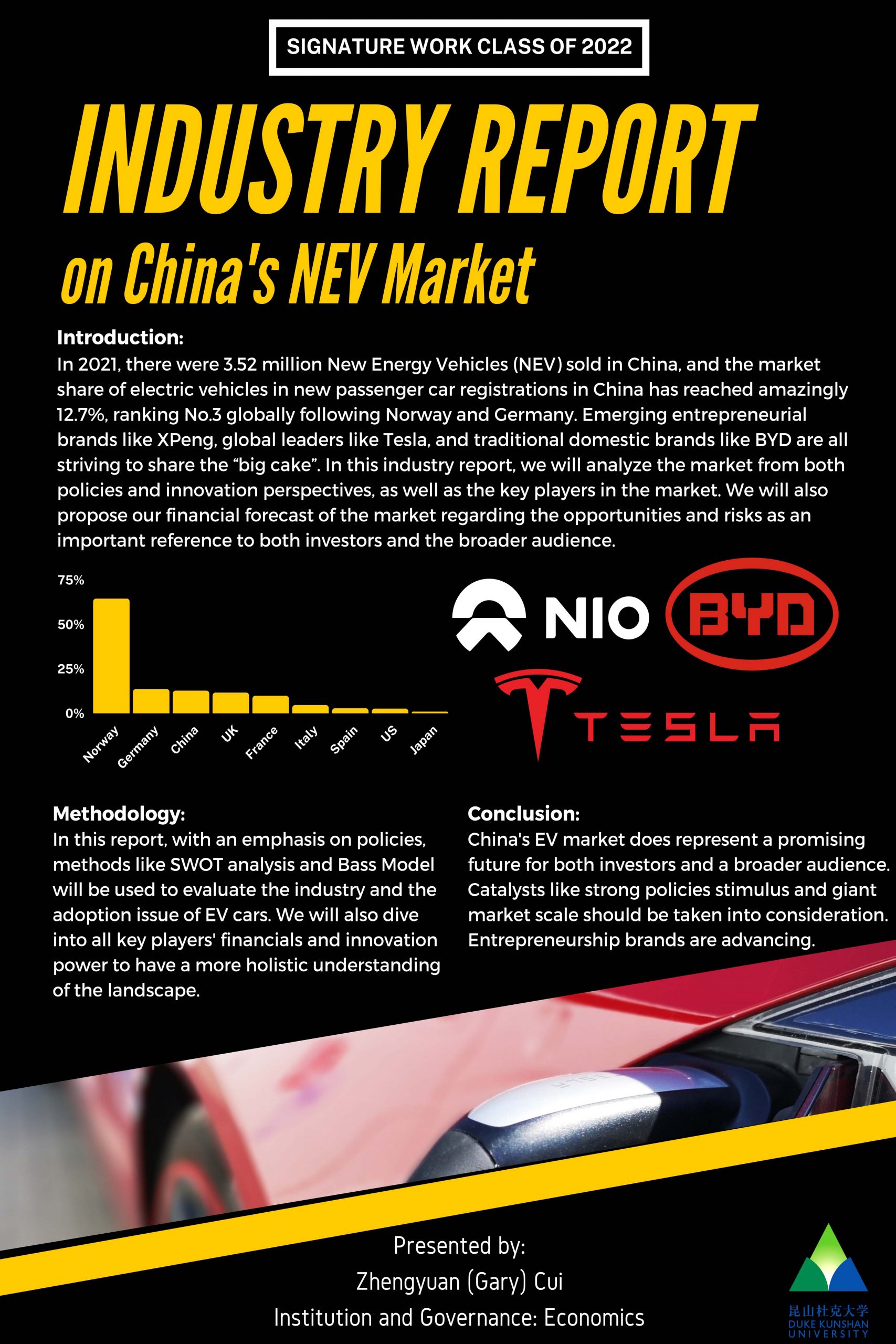 Industry Report on China's NEV Market